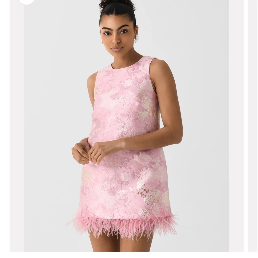 Cara Cara Belmond Pink Mini Dress with Feather Hem